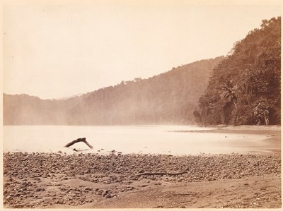 Tropisch landschap: Het eindpunt van het voorgestelde kanaal, Limon Bay (Expeditie Darien) door John Moran