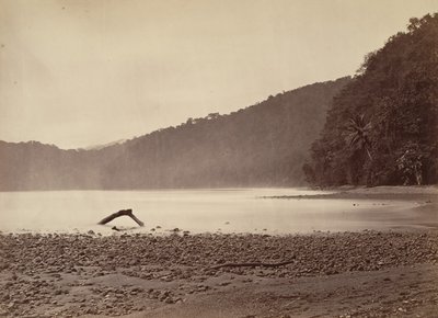 Tropisch Landschap, Het Eindpunt van het Voorgestelde Kanaal, Limon Bay, 1871 door John Moran