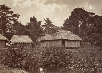Tropisch landschap, Turbo Village, 1871 door John Moran