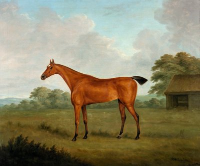 Kastanjebruin Paard in een Landschap, 1815 door John Nott Sartorius