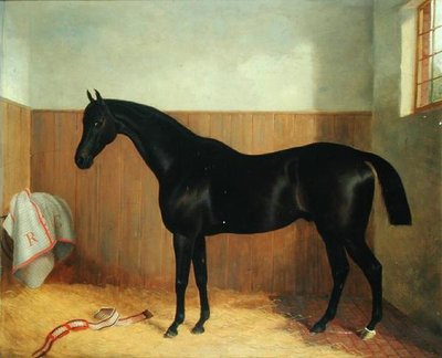 Tommy, Portret van een Paard, c.1870s door John Paul