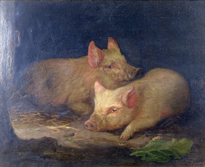 Twee Prijswinnende Varkens in een Interieur door John Rabone Harvey