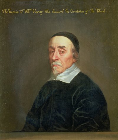 Portret van William Harvey (1578-1657) door John Riley