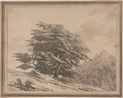 Afbeeldingen van het algemene karakter, vertakkingen en loof van bosbomen: Ceder, 1789 door John Robert Cozens
