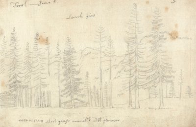 In de Tirol door John Robert Cozens