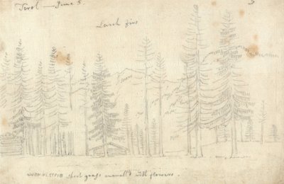 In Tirol door John Robert Cozens