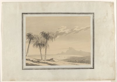 Palm door John Robert Cozens