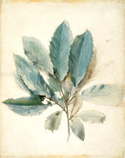 Kastanjebladeren door John Ruskin