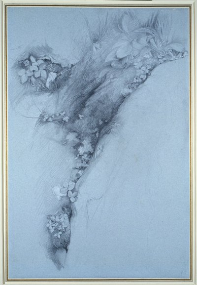 Mos en wilde aardbei door John Ruskin