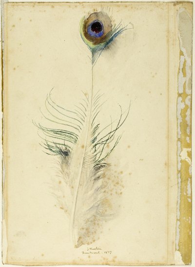 Pauwenveer door John Ruskin