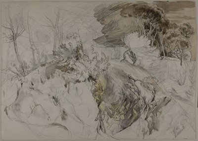Struiken en bomen in rotsachtig landschap door John Ruskin