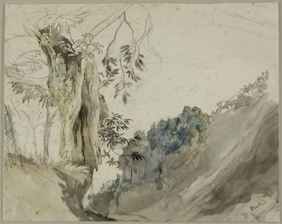 Spaanse Kastanje door John Ruskin