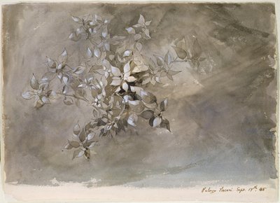 Studie van gebladerte door John Ruskin