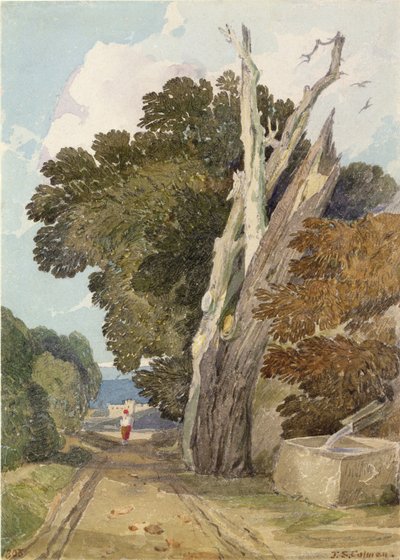 Een Spaanse Kastanjeboom Getroffen door Bliksem door John Sell Cotman