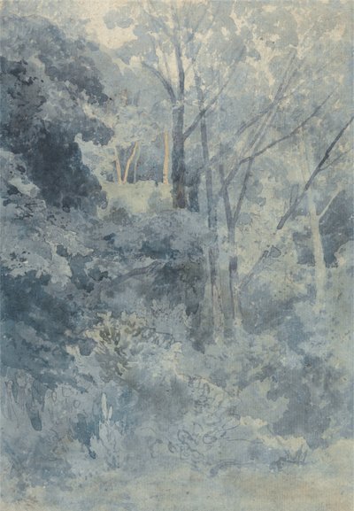 In Rokeby Park door John Sell Cotman