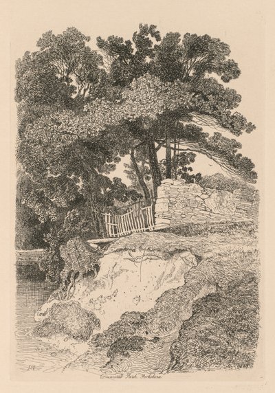Liber Studiorum: Plaat 13, Duncomb Park, Yorkshire: Nr. 5 door John Sell Cotman
