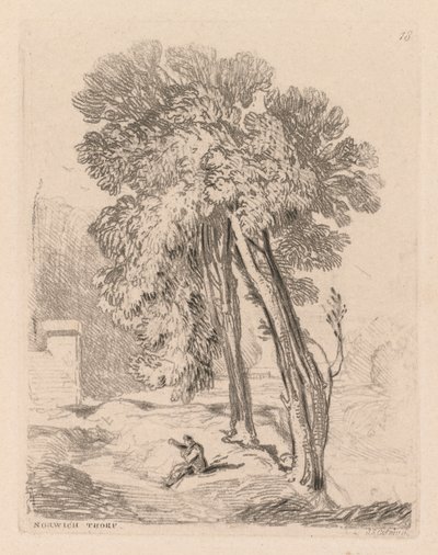 Liber Studiorum: Plaat 18, Bomen bij Norwich Thorp, Norfolk door John Sell Cotman