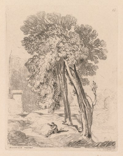 Liber Studiorum: Plaat 18, Bomen in Norwich Thorp, Norfolk, 1838 door John Sell Cotman