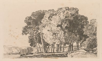 Liber Studiorum: Plaat 3, Bomen bij Twickenham door John Sell Cotman