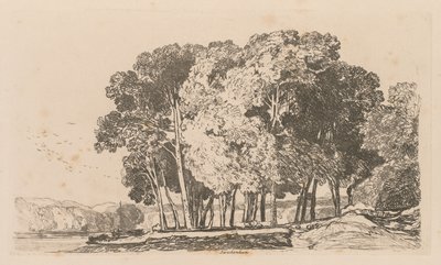 Liber Studiorum: Plaat 3, Bomen nabij Twickenham, 1838 door John Sell Cotman