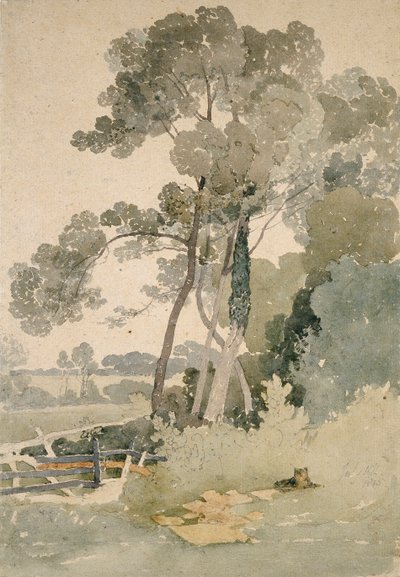 Bij Brandsby, Yorkshire door John Sell Cotman