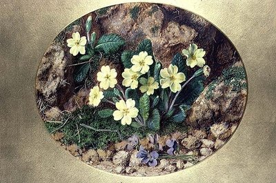 Sleutelbloemen en viooltjes door John Sherrin