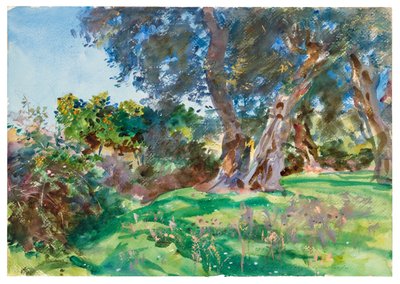 Olijfbomen, Corfu door John Singer Sargent