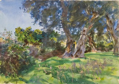 Olijfbomen, Corfu door John Singer Sargent