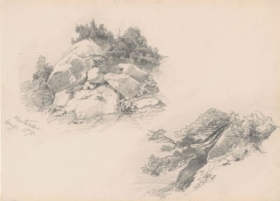 Rotsen en struiken, Hintersee, Duitsland, 1871 door John Singer Sargent