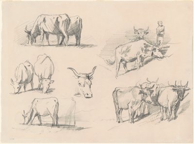 Studies van vee, ca. 1872 door John Singer Sargent