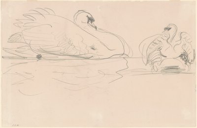 Zwanen in het Water door John Singer Sargent