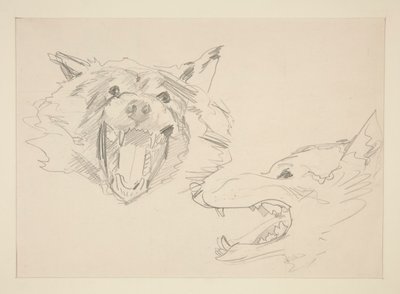 Twee Zichten van een Wolf door John Singer Sargent