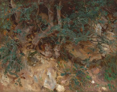 Wilde Olijfboomwortels, Valldemosa, Mallorca door John Singer Sargent