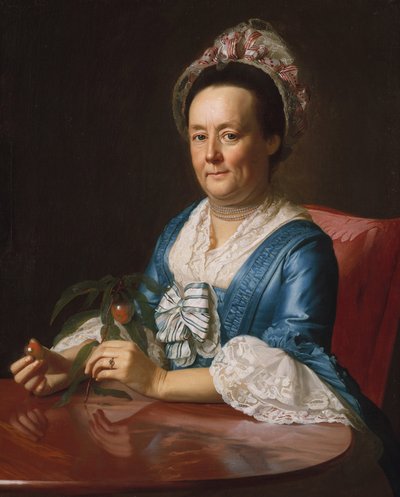 Mrs. John Winthrop door John Singleton Copley