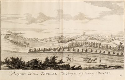 Het Uitzicht op de Stad Dundee door John Slezer
