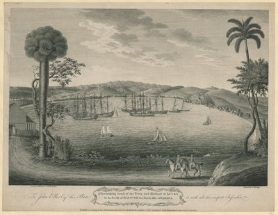 Een uitzicht naar het zuiden van de stad en haven van Lucea in de parochie van Hanover aan de noordkant van Jamaica door John Spilsbury