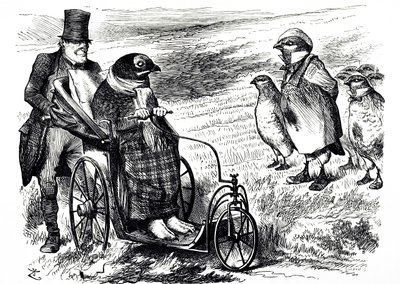 Een cartoon die commentaar geeft op de opschorting van het jagen op korhoenders om de voorraad te laten herstellen. Geïllustreerd door John Tenniel (1820-1914) een Engelse illustrator, grafische humorist en politieke cartoonist door John Tenniel
