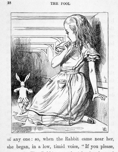 Alice en het konijn - in 
