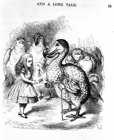Alice in Wonderland: ontmoeting van Alice met een dodo door Lewis Carroll, illustratie van de eerste editie door Tenniel door John Tenniel