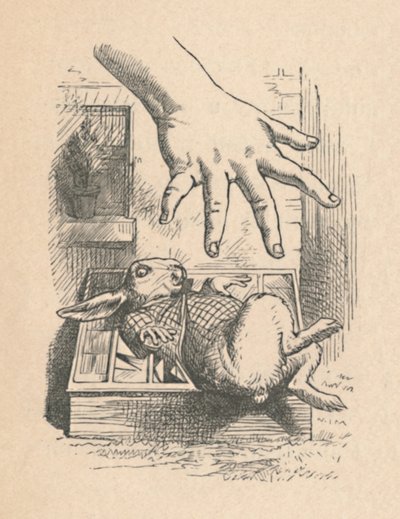 Alice steekt haar hand uit naar het Witte Konijn, 1889 door John Tenniel