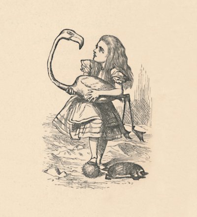 Alice probeert croquet te spelen met een flamingo als hamer, 1889 door John Tenniel
