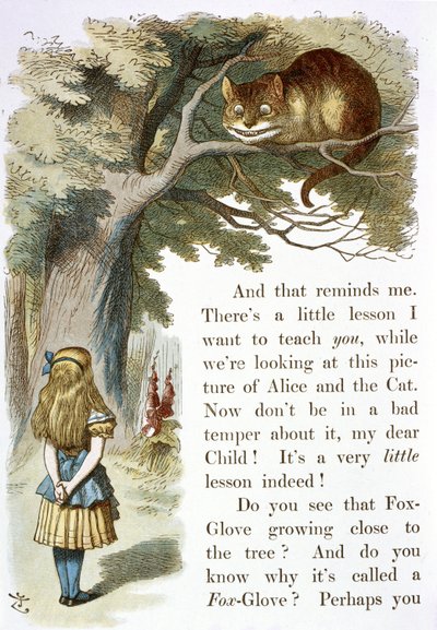 De Cheshire kat door John Tenniel