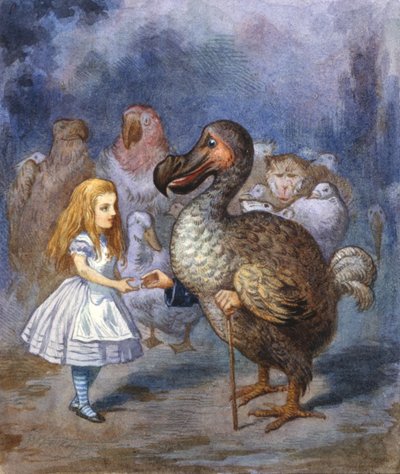 Onbekend Beeld door John Tenniel