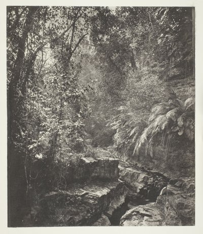 Een bergpas in Formosa door John Thomson