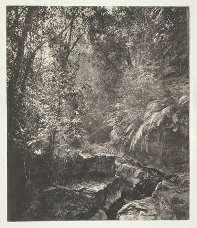 Een bergpas in Formosa, ca. 1868 door John Thomson