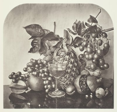 Fruit, ca. 1868 door John Thomson