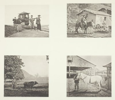 De Sedan, Een Militaire Officier, De Ploeg, Een Noord-Chinese Pony, ca. 1868 door John Thomson
