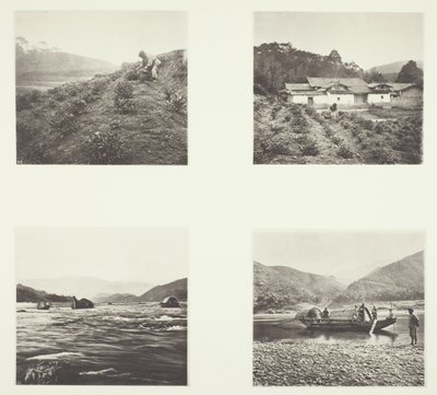 De theeplant; De theeplant; Yenping-rivier; Een kleine snelle boot door John Thomson
