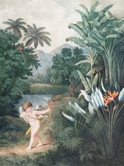 Cupido inspireert planten met liefde, uit de Tempel van Flora (1807) door Robert John Thornton door John Thornton
