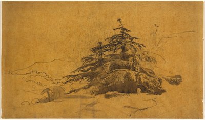 Studie von Bäumen in einer Landschaft door John Varley